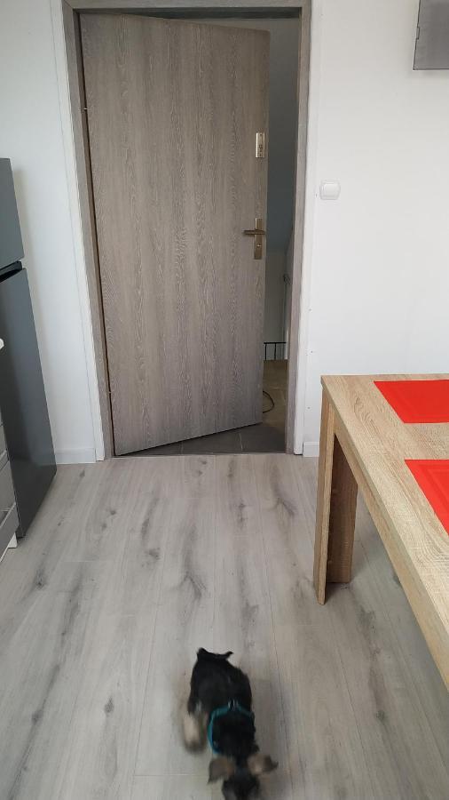 סלאופסק Apartament Witkacego Zielony מראה חיצוני תמונה